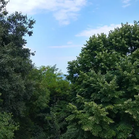 For Rent - Desi Holiday home Varna